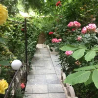 خونه-ویلایی-روستای-فوجرد