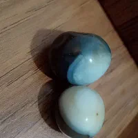 مهره برد سلیمان