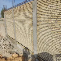 شناژکف وستون