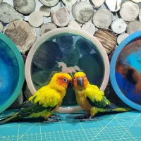 سفارش ساخت وسایل چوبی، رزینی و چرمی اختتصاصی|صنایع دستی و سایر لوازم تزئینی|تهران, اقدسیه|دیوار