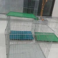 قفس پرنده|لوازم جانبی حیوانات|آبپخش, |دیوار