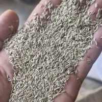 گلرنگ. ارزن. گندم. جو.  نخود|عمدهفروشی|رحمتآباد, |دیوار