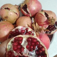 ناردونه درجه یک|خوردنی و آشامیدنی|شیراز, شهرک مدرس|دیوار