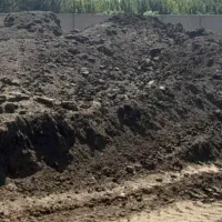 کود برگشتی.(کمپوست قارچ)