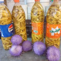 گل گوهری یا خار مریم