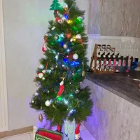 درخت کریسمس وارداتی