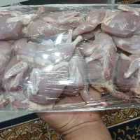 بلدرچین گوشتی