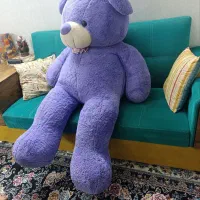 خرس ولنتاین