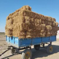 پرس کاه گندم