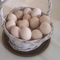 تخم مرغ نطفه دار سلطان و لهستانی