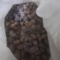 خرمای صنعتی|خوردنی و آشامیدنی|اهواز, فاز ۱ پادادشهر|دیوار