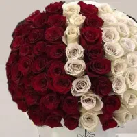 کسب در آمد و واریز پول به حسابتون