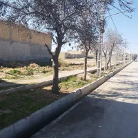 زمین واقع در کفترک 105متری|فروش زمین و ملک کلنگی|شیراز, کفترک|دیوار