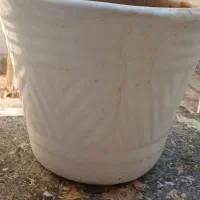 گلدان سرامیک|گل و گیاه طبیعی|قم, نیروگاه|دیوار