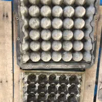 نیرو ساده آقا و خانم