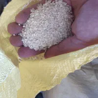 برنج
