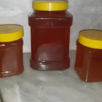 پنج کیلو عسل کوهی گِوَن اصل