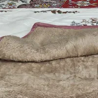 پتوی فلیس خز پشمی قدیمی دوعددبالش
