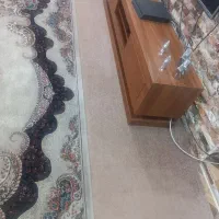 قالی اتاق کودک و پالاز موکت|فرش|خرمشهر, |دیوار