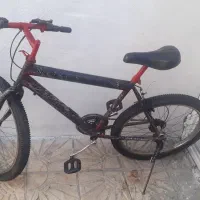 دوچرخه ۲۴ تنه بلند