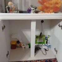 اکواریوم|ماهی|ایلام, |دیوار