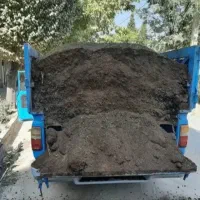 کودگاوی گوسفندی پوسیده نرم تحویل درمحل