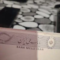 ضامن میشم