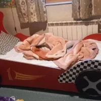 تخت تک نفره نوجوان