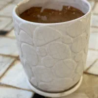 گلدان|گل و گیاه طبیعی|نیشابور, شهرک فرهنگیان|دیوار