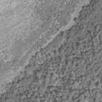 سیم کارت همراه اول دائمی