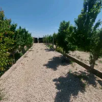 باغ ویلا باغرود/مشجر و تاپ لوکیشن/قابل معاوضه