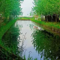 اکازیون|فروش خانه و ویلا|تهران, هاشمی|دیوار