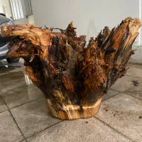 ریشه درخت میز عسلی میز وسط روستیک