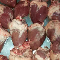 دل و قلوه   گوسفندی|خوردنی و آشامیدنی|تهران, شهرک ولیعصر شمالی|دیوار