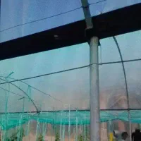 پلاستیک گلخانه ای فروشی