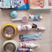 برفی خانوم|سگ|قم, شهرک مهدیه (مدرس)|دیوار