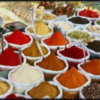 سرمایه گذار / شریک تجاری|استخدام مالی، حسابداری، حقوقی|تهران, پرواز|دیوار