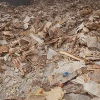 فروش نان خشک خشک|لوازم جانبی حیوانات|ورامین, خیر آباد|دیوار