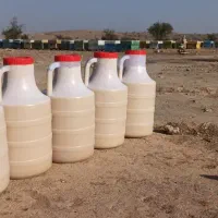 عسل کنار|خوردنی و آشامیدنی|جره و بالاده, |دیوار