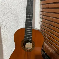 گیتار برند ولنسیا