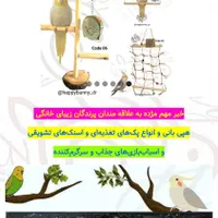 هپی بانی تولید و عرضه محصولات برای حیوانات خانگی|لوازم جانبی حیوانات|تهران, المهدی|دیوار