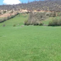 زمین زراعی بره سر (طالکوه)با اجازه ساخت ویلا