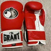 دستکش بوکس حرفه ای چرم|تجهیزات ورزشی|بروجرد, |دیوار