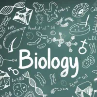 منتورینگ زیست شناسی پایه و کنکور