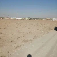 زمین 800 متری بر جاده|فروش دفتر صنعتی، کشاورزی، تجاری|آران و بیدگل, |دیوار