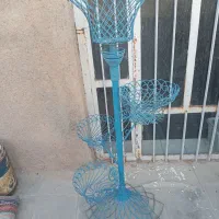 جاگلدونی محکم