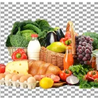 ویزیتور مواد غذایی