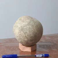 سنگ Bezoar|کلکسیون اشیاء عتیقه|تهران, دکتر هوشیار|دیوار