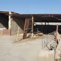 ملک مسکونی|فروش زمین و ملک کلنگی|گلپایگان, |دیوار