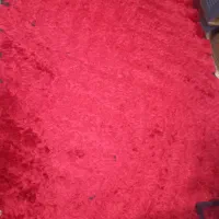 فرش ۴متری|فرش|بروجرد, |دیوار
